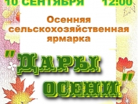 Ярмарка "Дары осени".