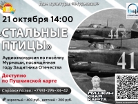 Аудиоэкскурсия "Стальные птицы".