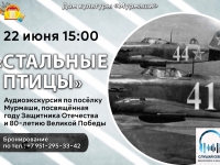 Аудиоэкскурсия "Стальные птицы".